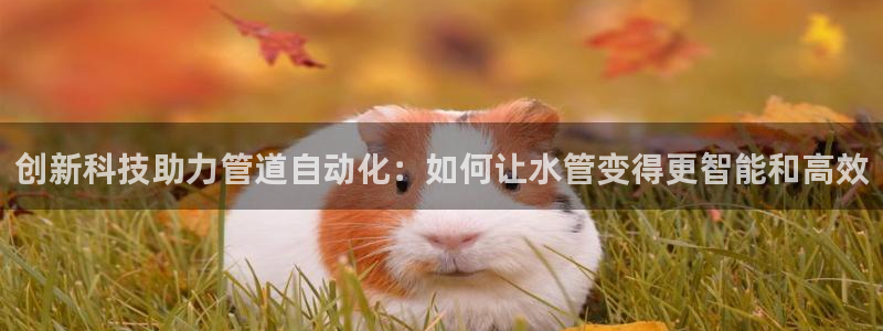 众腾娱乐发7O777