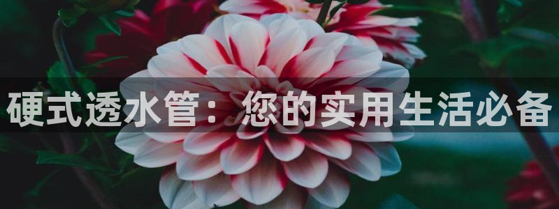 腾耀娱乐29999出众
