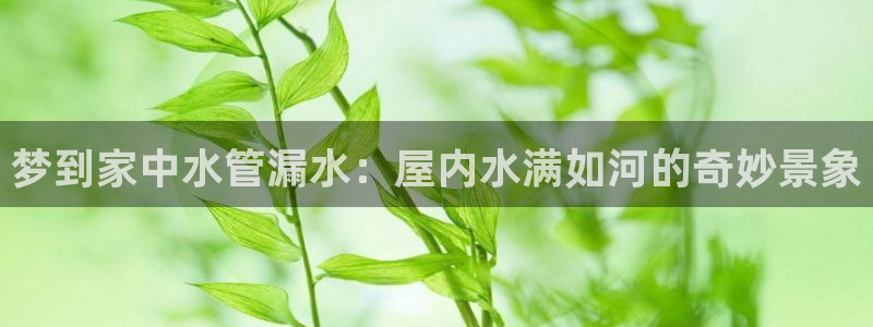 众腾娱乐集团有限公司