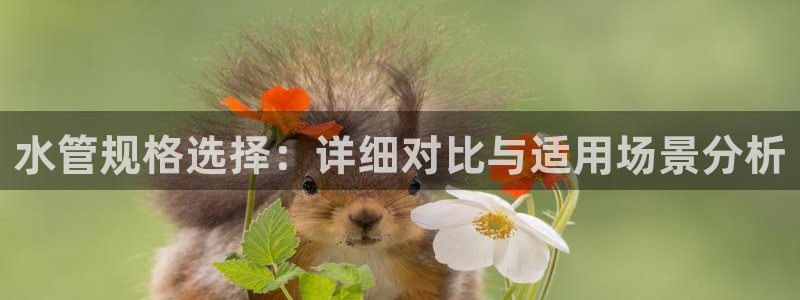 腾耀3娱乐众推8 28