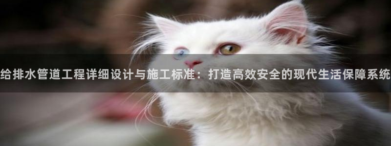 众腾娱乐平台下载