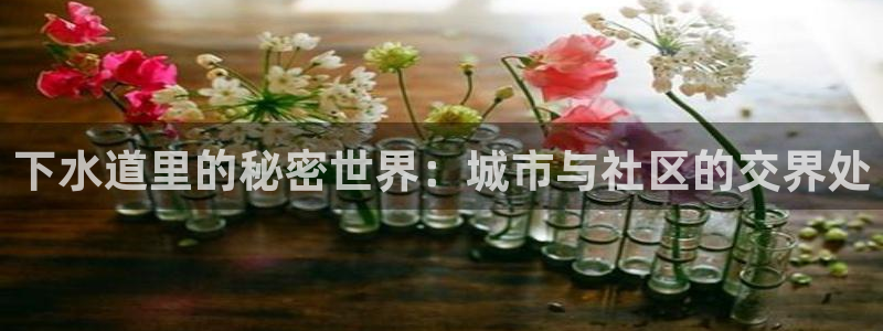 众腾娱乐平台