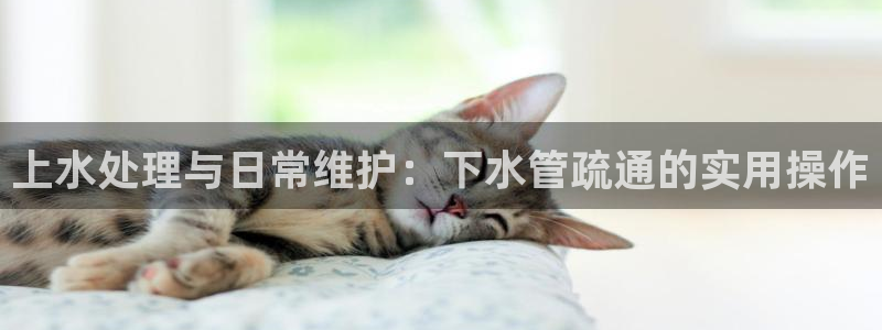 众腾娱乐平台下载