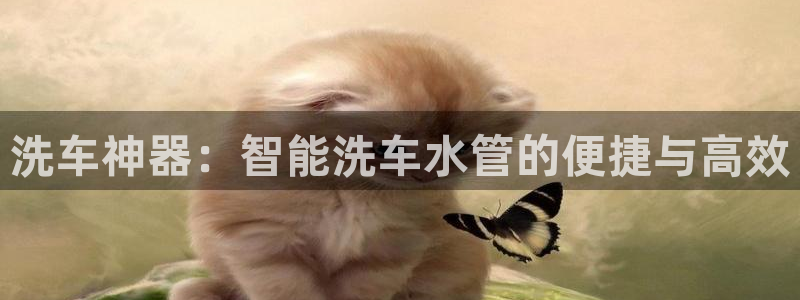 楚雄众腾娱乐是干什么的