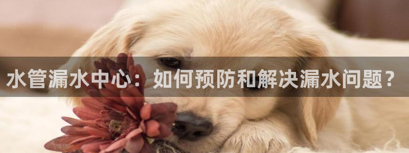 腾众娱乐的彩票靠谱吗