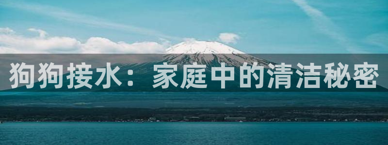 众腾娱乐梦幻演艺店