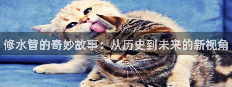 楚雄众腾娱乐是干什么的