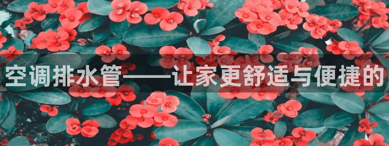 楚雄众腾娱乐是干什么的