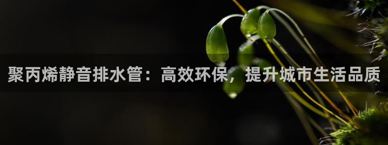 腾众娱乐是什么