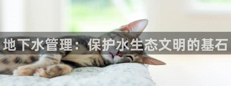腾众竞技娱乐