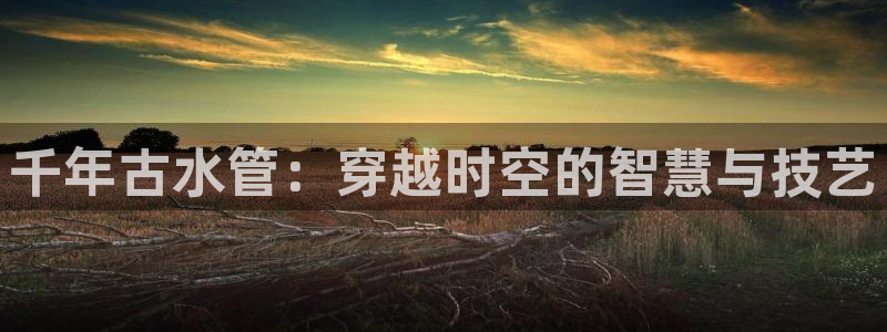 众腾娱乐毕 7O935