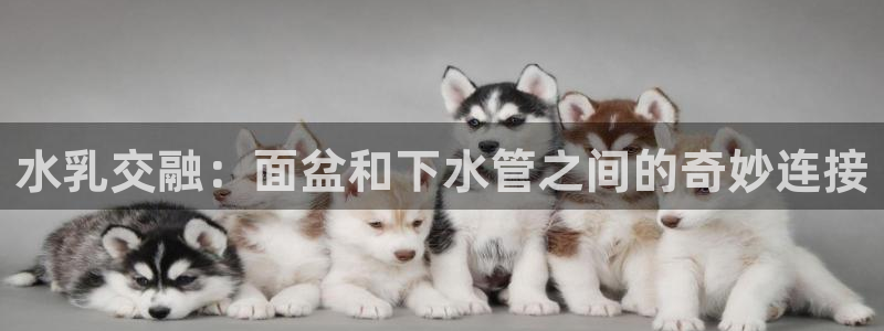 众腾娱乐APP下载