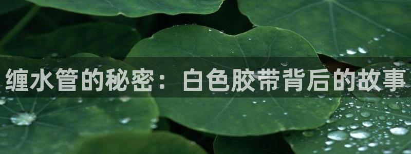 众腾娱乐平台官网入口