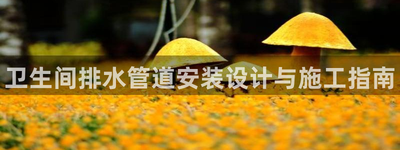 众腾娱乐app