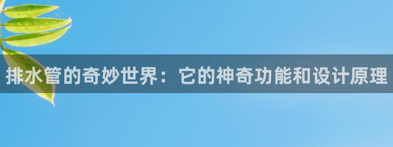众东腾娱乐客服