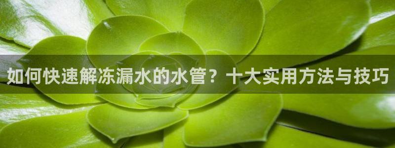 众腾娱乐文化怎么样