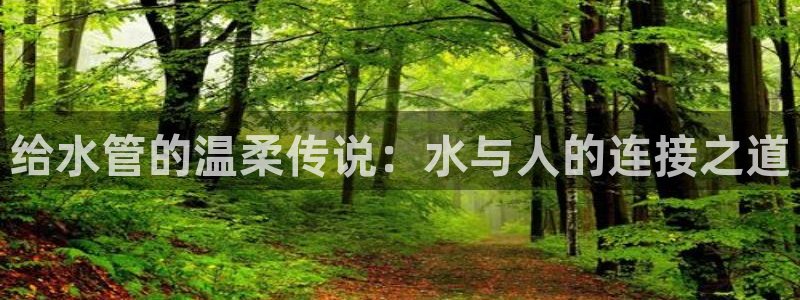 楚雄众腾娱乐在哪里