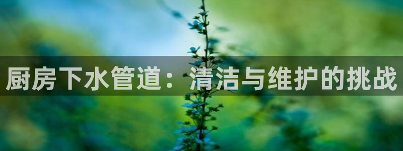 众腾娱乐文化怎么样