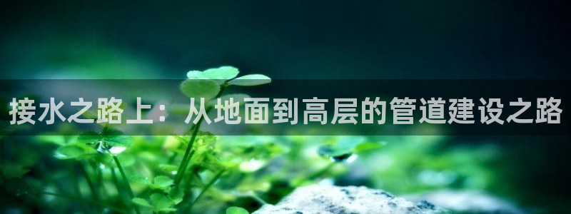 众腾娱乐毕 7O935
