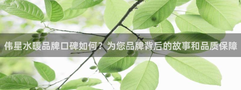 众腾娱乐平台下载