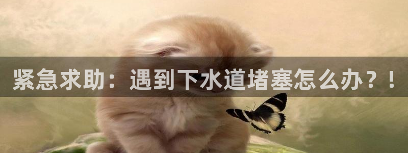 众腾娱乐下7O777