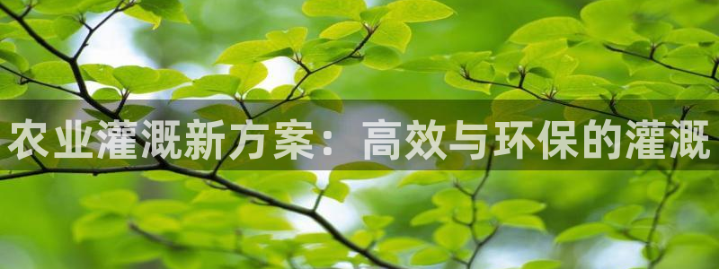 腾耀3娱乐众123