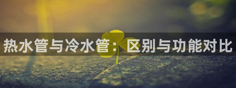 众腾娱乐集团有限公司