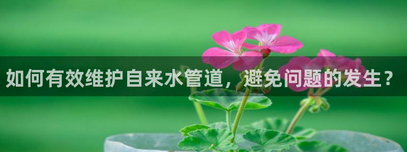 众腾娱乐博彩