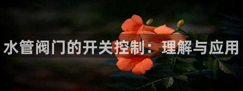 众腾娱乐博彩