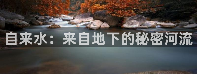 楚雄众腾娱乐在哪里
