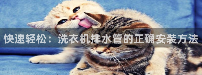 腾耀娱乐众推46996