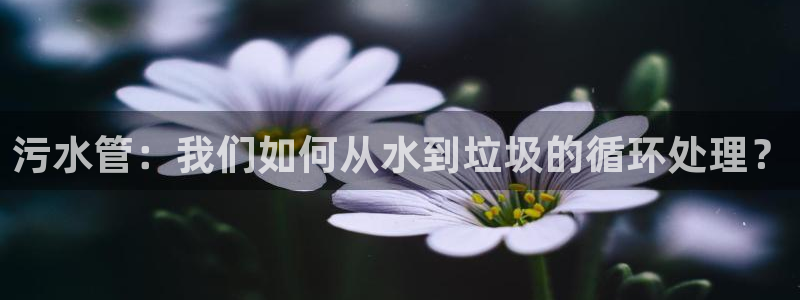 楚雄众腾娱乐在哪里