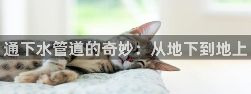 众腾娱乐扣款是正规的吗