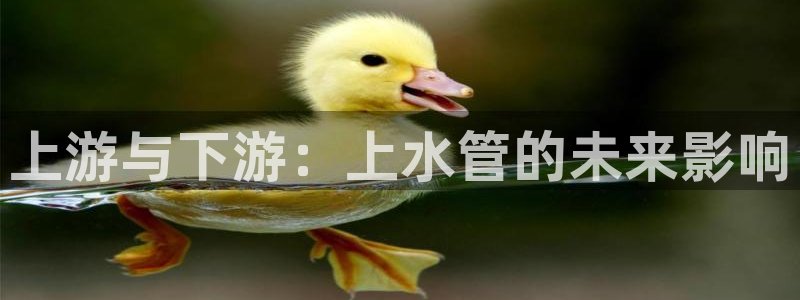 众腾娱乐app