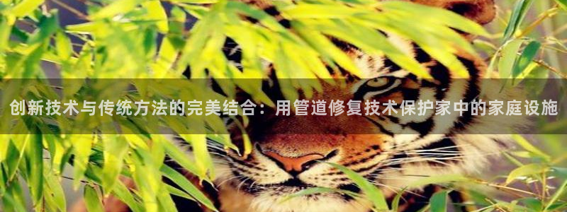 众腾娱乐开户