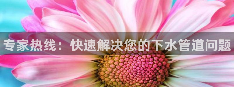 众腾娱乐平台