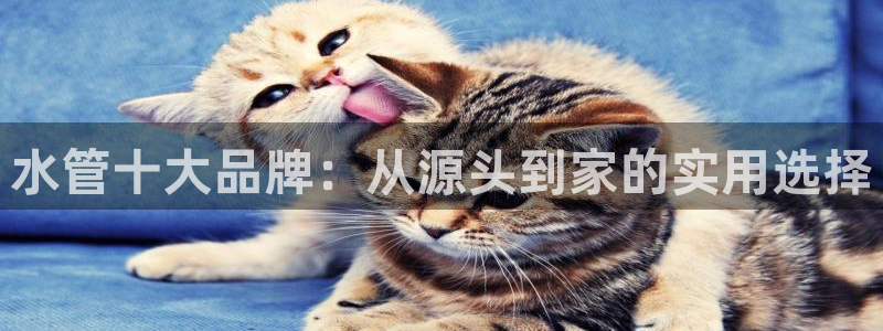 内蒙古众腾娱乐文化法人