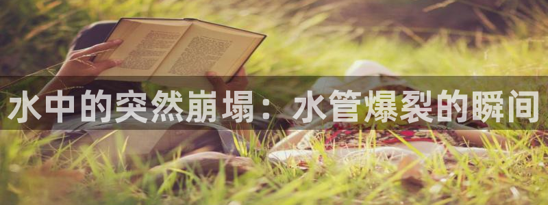 楚雄众腾娱乐