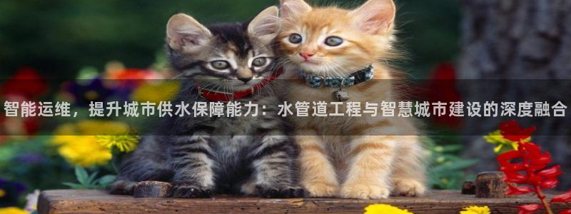 众腾娱乐毕 7O935