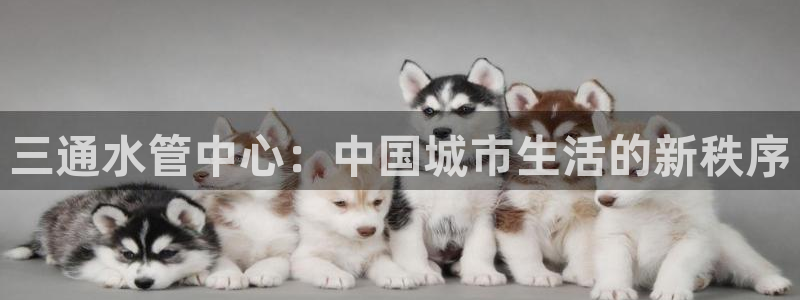 众腾娱乐代理怎么样