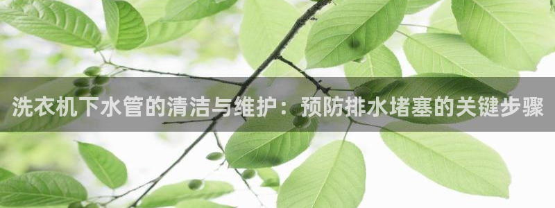 楚雄众腾娱乐是干什么的