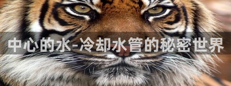 腾耀娱乐众推46996