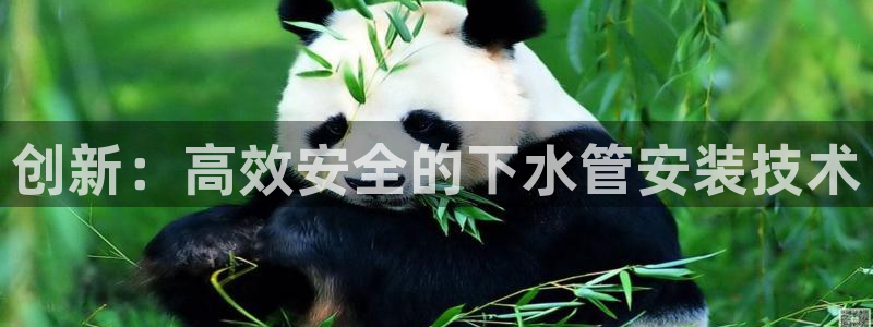 众腾娱乐官方客服电话