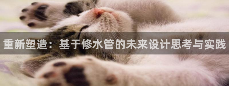 众腾娱乐官方客服电话