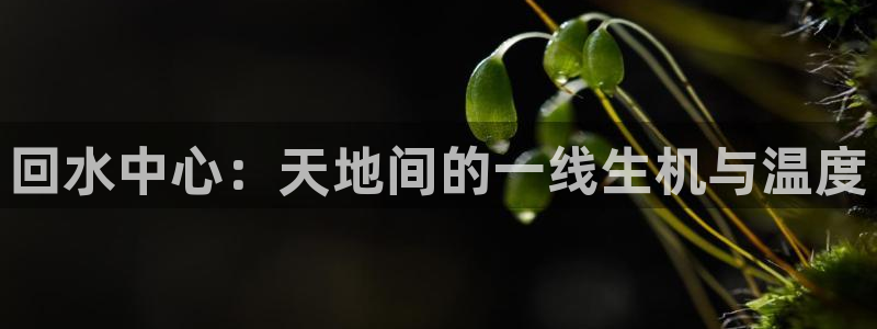 众东腾娱乐客服