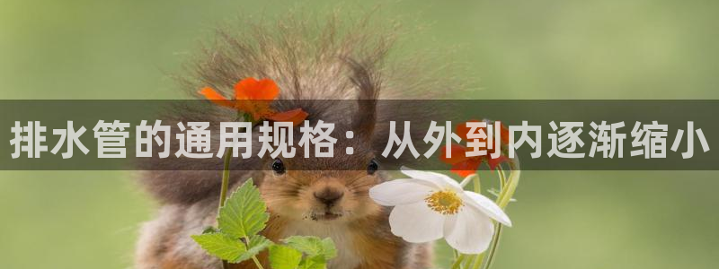 众腾娱乐蚀 7O935