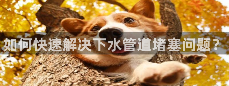 腾众娱乐