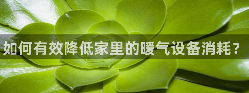 众腾娱乐代理怎么样