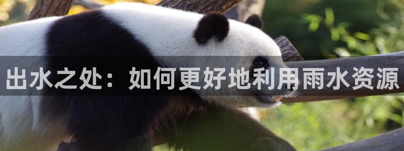 包头众腾娱乐密室逃脱