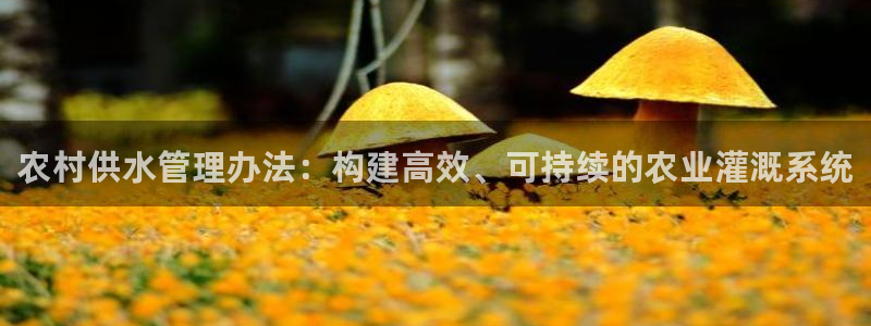 众腾娱乐登入探索无限空间